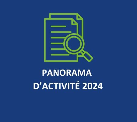 Panorama d'activité 2024