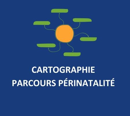 Cartographie Parcours Périnatalité